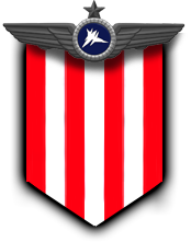 Rookie Pilot Badge